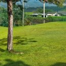 해림골프 이미지