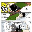 닥터-Q