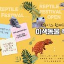 뉴코아아울렛오후