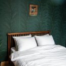 숲튜디오 이미지