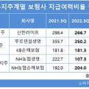 신한·KB·NH농협 등 금융지주 생보사 RBC비율 &#39;뚝&#39;...농협생명 이미지