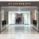 도리상조 네이버블로그