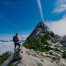 엔젤 식물원 이미지