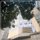 헤솔두피탈모