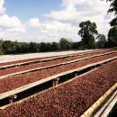 루기농장 이미지