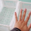 서플러스 SURPLUS 이미지