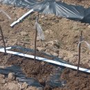 효진목장 이미지