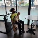 독크루북구점 이미지