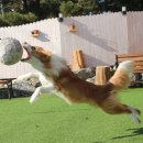 봉주르봉구 이미지