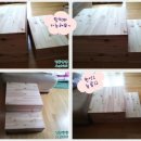 뚱강아지 이미지