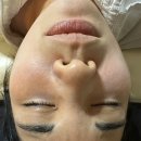 솔한