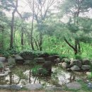 남산공원길2 이미지