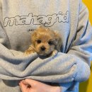 연제구-045 이미지