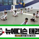 한국중흥태권도 이미지