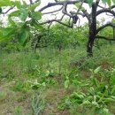 오석농장 이미지