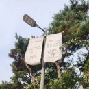 가족과 함께한 마장동 소고기 점심