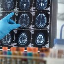 반야월로 이미지