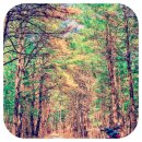 클레이랑 만나는 시간 | 주말마다 가는 클레이아트도예공방 체험 후기