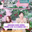 완판도 이미지