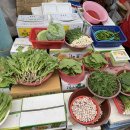 은혜야채 이미지