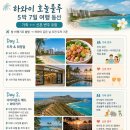 본에지리조트 | 이번 여름, 제가 직접 짠 하와이 호놀룰루 일정 통째로 공개합니다 🌺 (부모님 가족여행 · 신혼여행 둘...