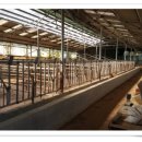 평남목장 이미지