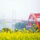 컴조이 네이버블로그