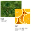 러쉬 굿 카마 에브리바디 니즈 썸 샤워젤 후기