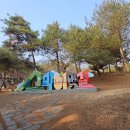 산막이가는길 민박 Daum카페