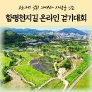 함평천지길 이미지