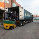 목화표장갑 이미지