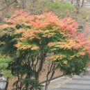 포스코백운산수련원 이미지