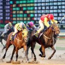 부산경남경마공원 화장실 이미지