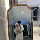 팻살롱 | [강릉애견동반여행] 강릉세인트존스호텔(겨울수영장)