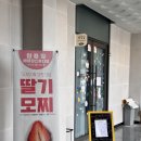 바이올가 김천혁신도시점 | 김천 두쫀쿠 파는 곳 혁신도시 삼층집베이킹스튜디오 두바이쫀득쿠키 먹어본 후기