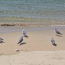 호텔엑스2 이미지