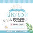 JJ 펫살롱 네이버블로그