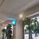 하오핑