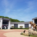 연천고랑포구 역사공원 이미지