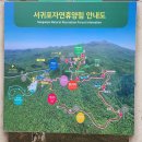 서귀포자연휴양림야영장 이미지