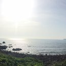 제주 수월봉 화산쇄설층 이미지