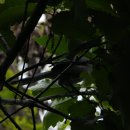 은평-018 이미지