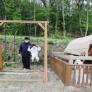 용연농장 이미지