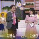 테마디자인장식