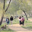 양평체육공원길 이미지