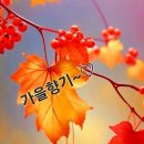 전선야곡 / 신세영 이미지