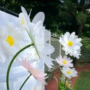 난곡병설유치원 이미지