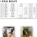 2026년 6월 회계내역 이미지