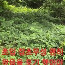 오지랍
