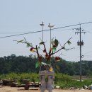 나무 조형물 이미지